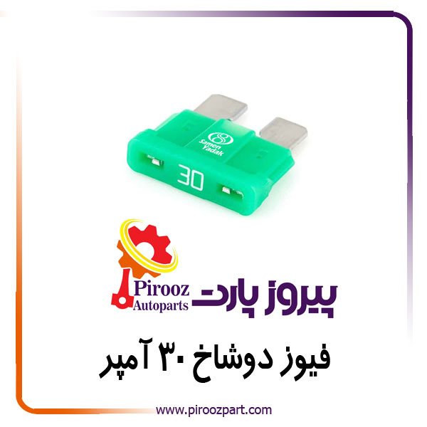 فیوز 2 دو شاخ A30 متا ERBI